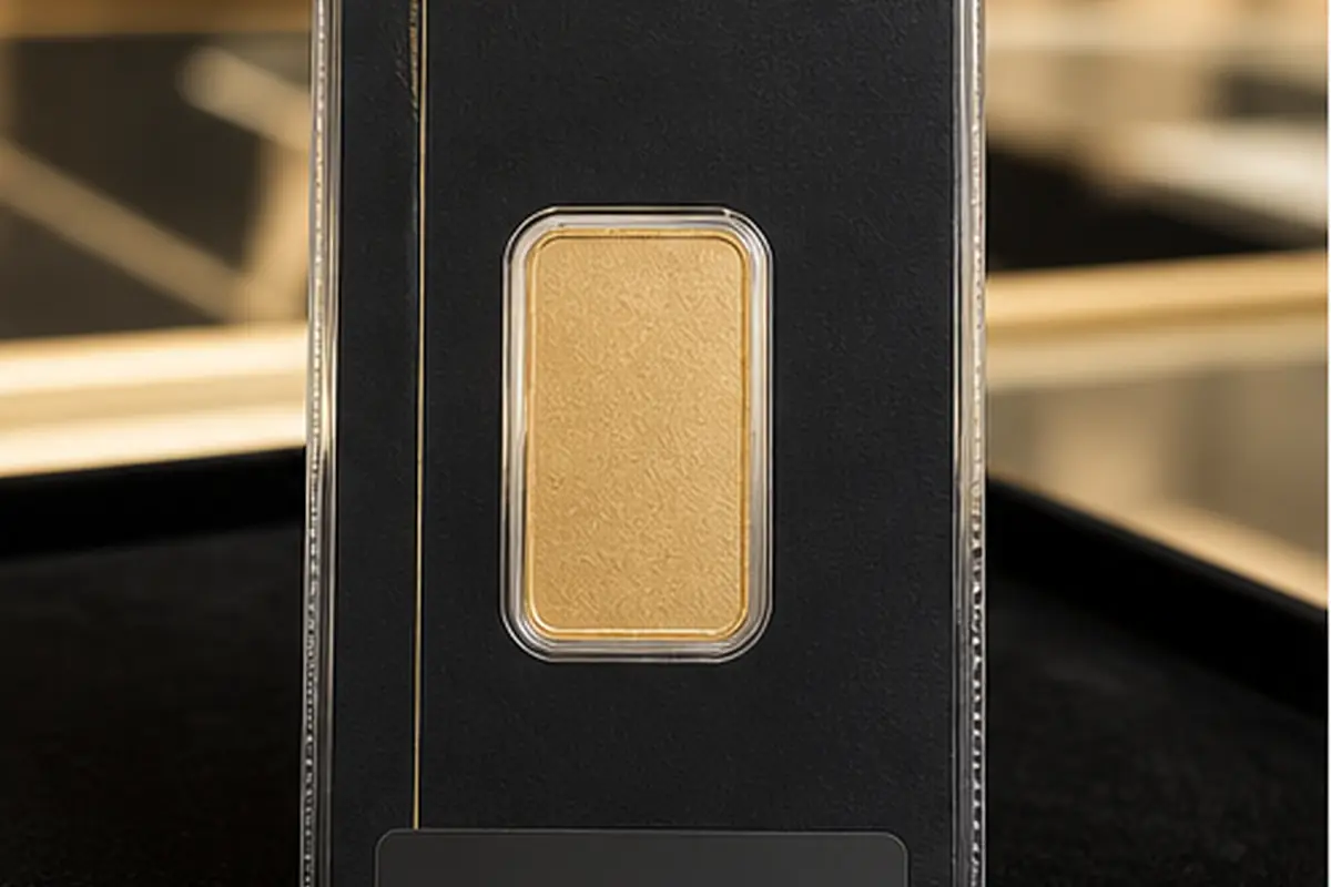 Dos du lingotin 20 g Dos d'un lingotin d'or 20 g présenté pour vérification