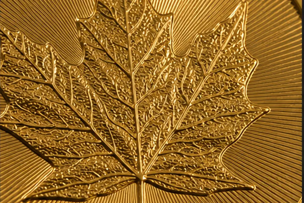 Détail de la feuille Détail de feuille d'érable sur une Maple Leaf en or